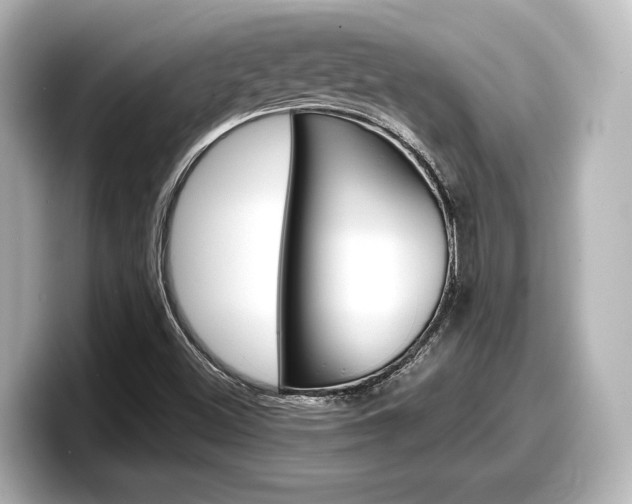 X0000098191500200804241040