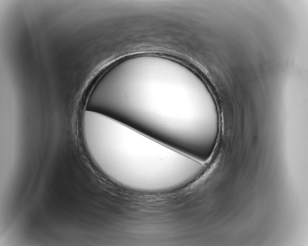 X0000098191501200804241040