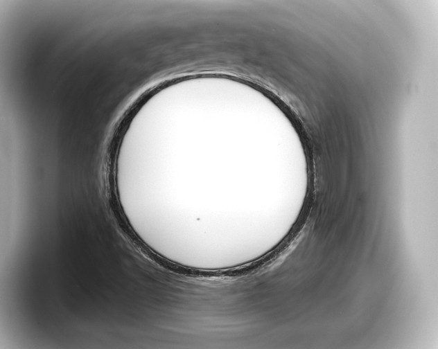 X0000098191502200804241040