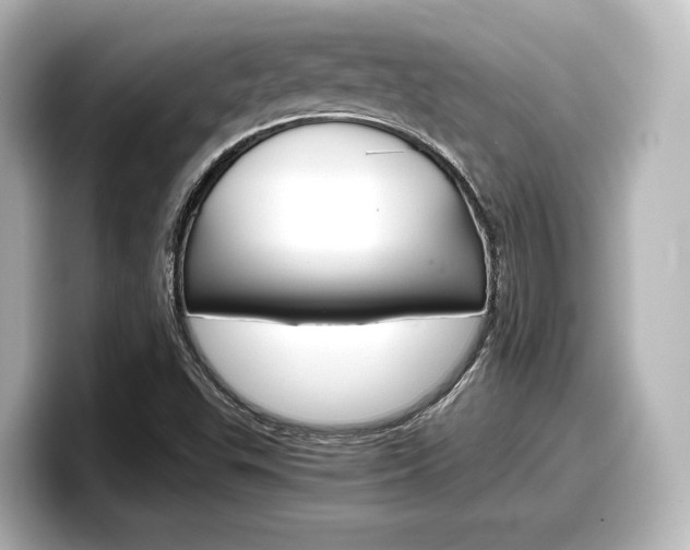 X0000098191503200804241040