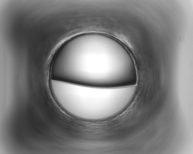 X0000098191504200804241040