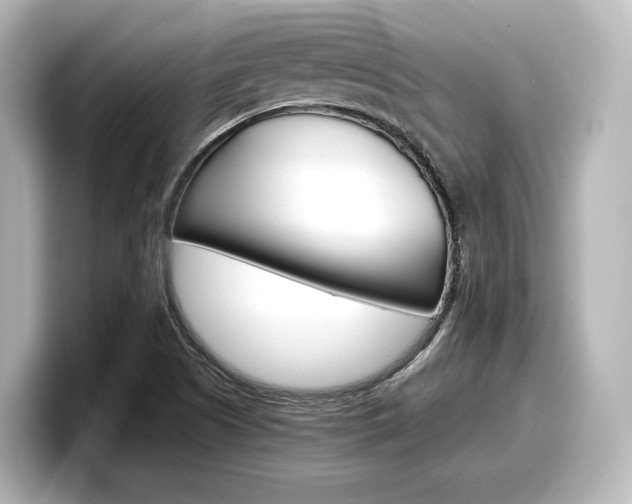 X0000098191505200804241040