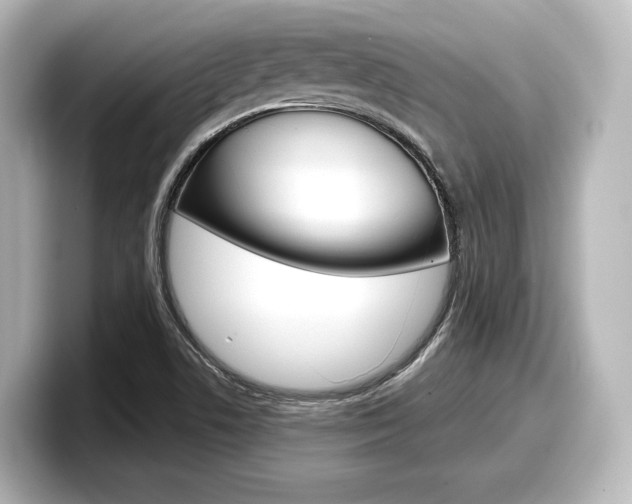 X0000098191506200804241040
