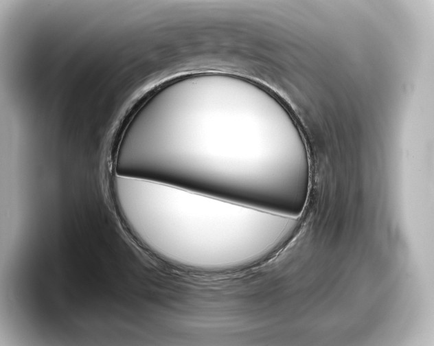 X0000098191507200804241040