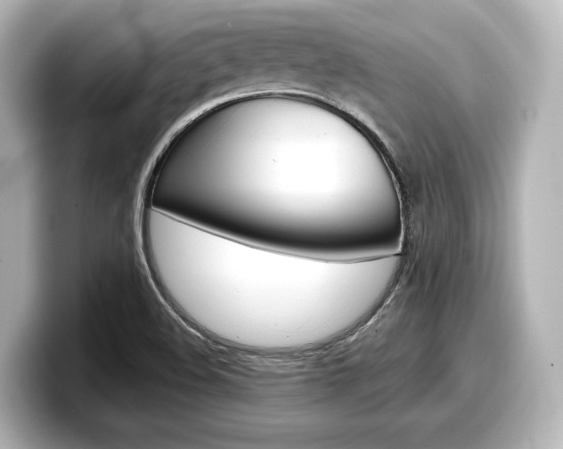 X0000098191508200804241040