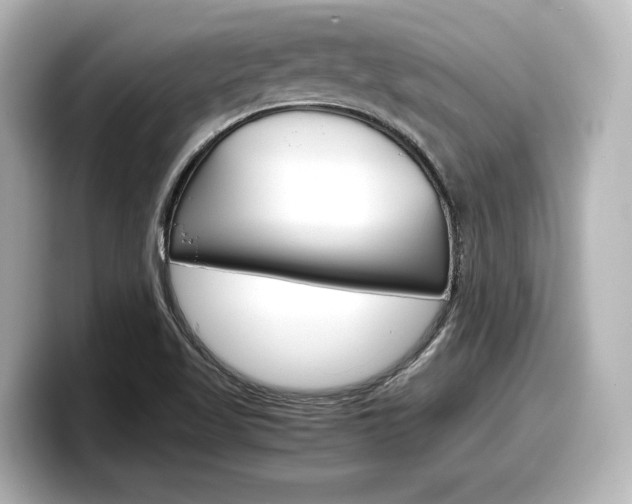 X0000098191509200804241040