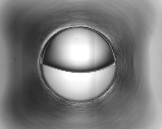 X0000098191510200804241040
