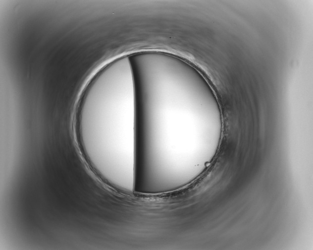 X0000098191511200804241040