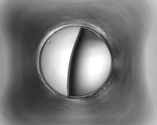 X0000098191512200804241040