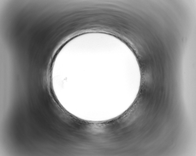X0000098191514200804241040