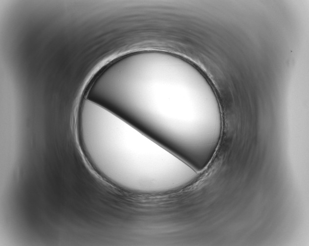 X0000098191515200804241040