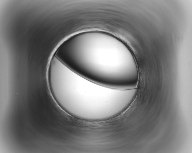 X0000098191516200804241040