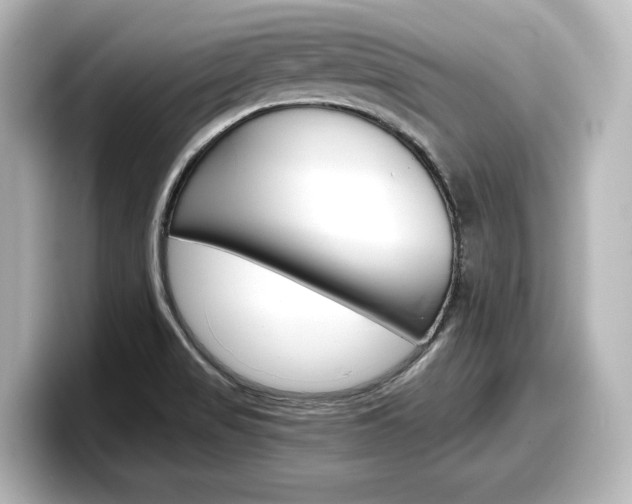 X0000098191517200804241040