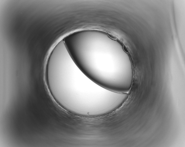 X0000098191520200804241040