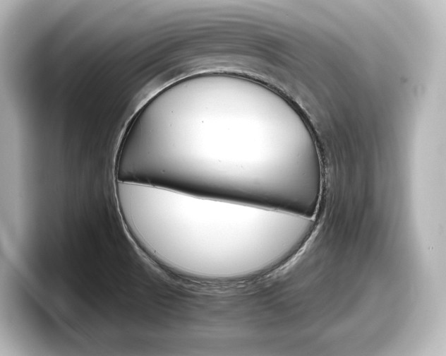 X0000098191521200804241040