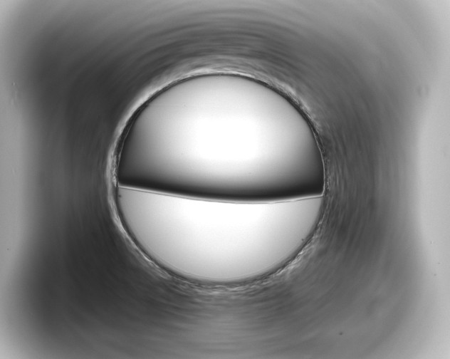 X0000098191522200804241040