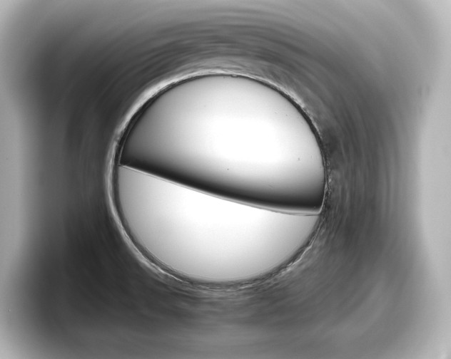 X0000098191523200804241040