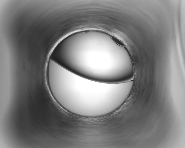 X0000098191524200804241040
