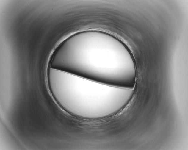 X0000098191525200804241040