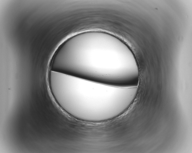 X0000098191526200804241040
