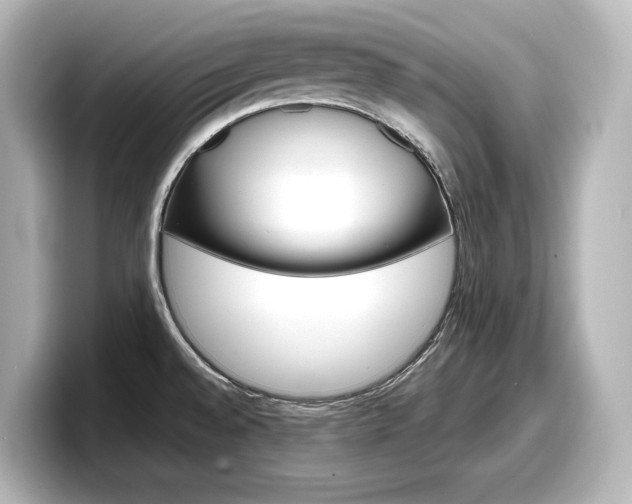X0000098191528200804241040