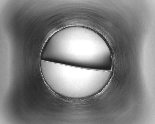 X0000098191529200804241040