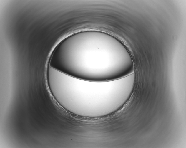 X0000098191530200804241040