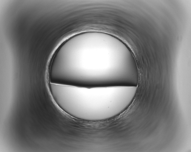 X0000098191531200804241040