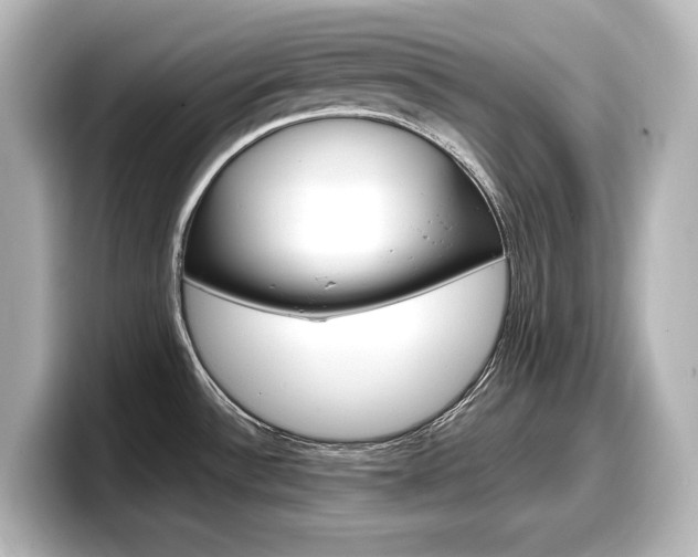 X0000098191532200804241040