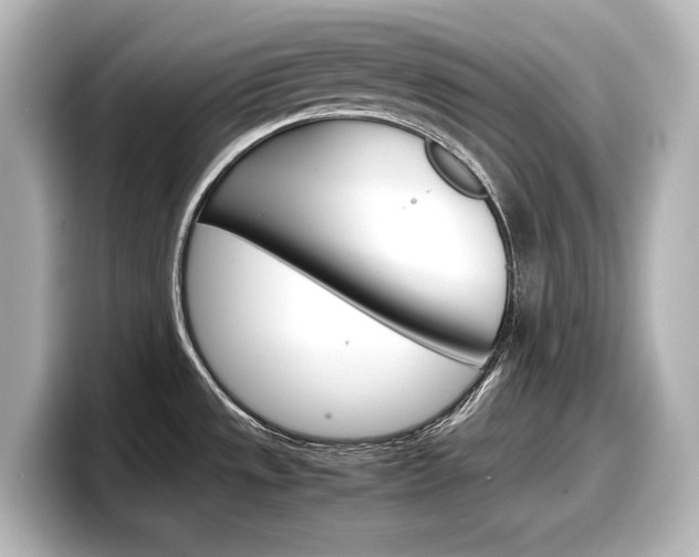 X0000098191533200804241040