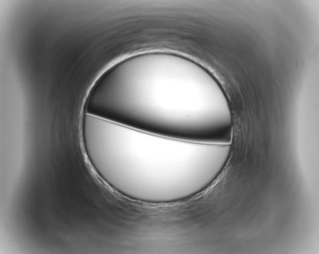 X0000098191534200804241040