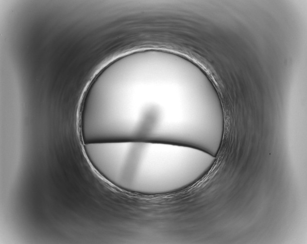 X0000098191535200804241040