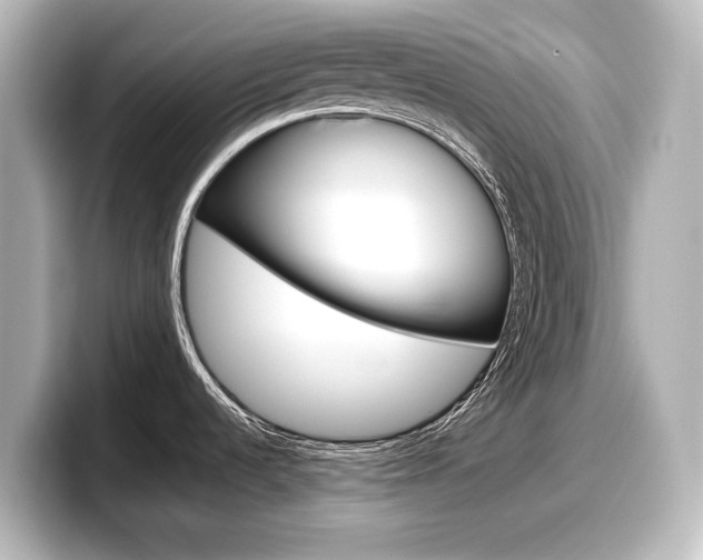 X0000098191536200804241040