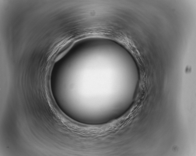X0000098190001200804241256