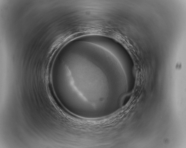 X0000098190002200804241256