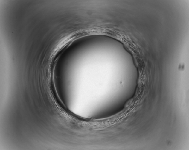 X0000098190005200804241256