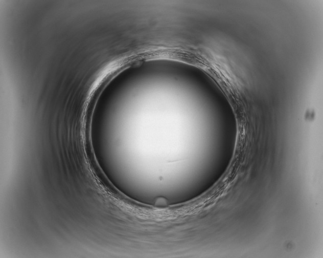 X0000098190006200804241256