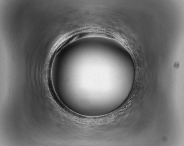 X0000098190007200804241256