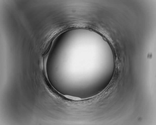 X0000098190013200804241255
