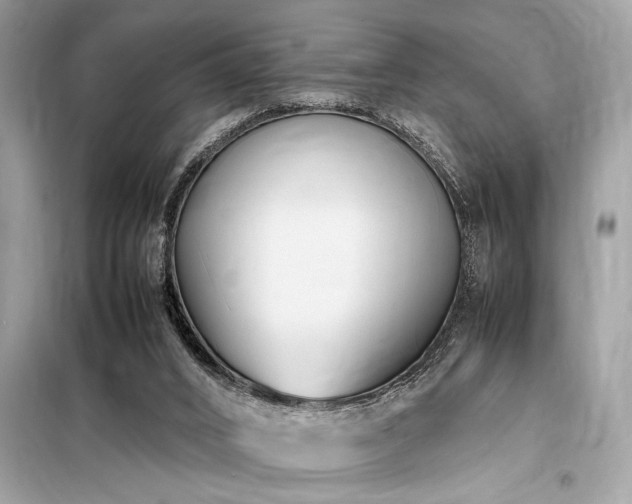 X0000098190016200804241255
