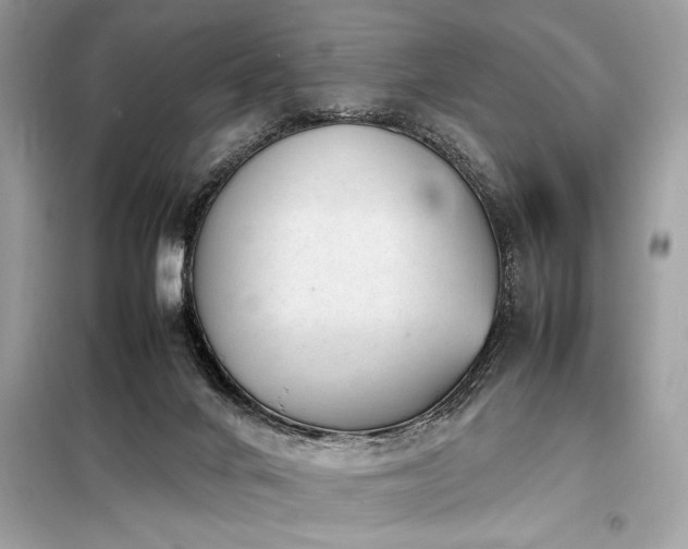 X0000098190024200804241255