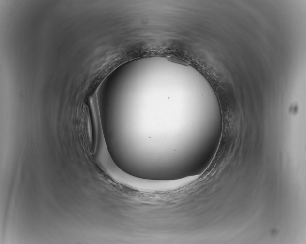 X0000098190033200804241255