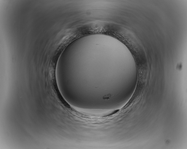 X0000098190035200804241255