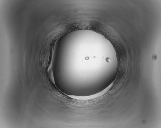 X0000098190037200804241255