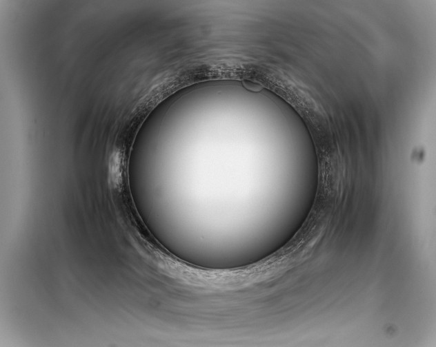 X0000098190038200804241255