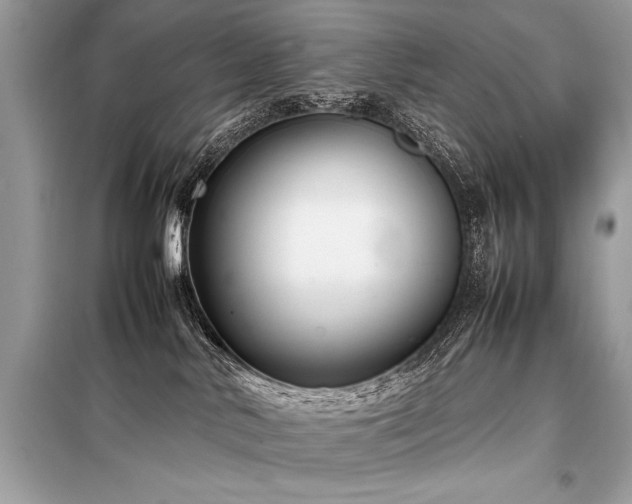 X0000098190042200804241255