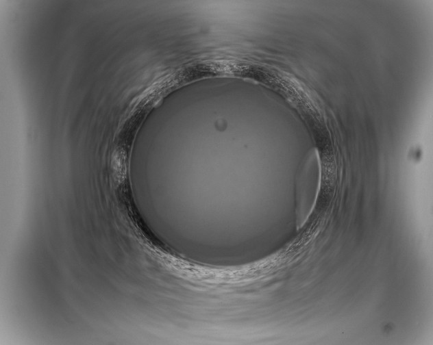 X0000098190043200804241255
