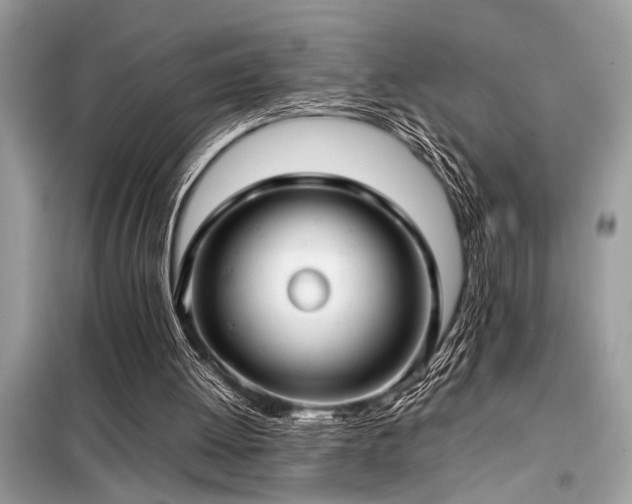 X0000098190052200804241254
