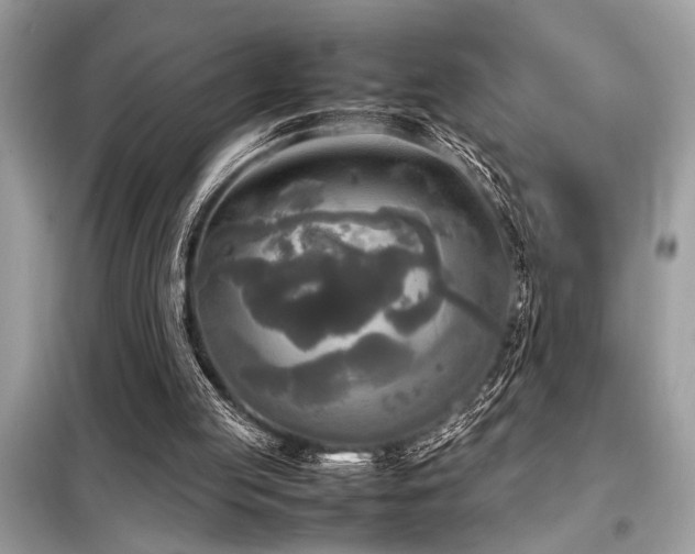 X0000098190053200804241254