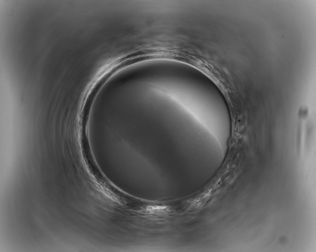 X0000098190055200804241254
